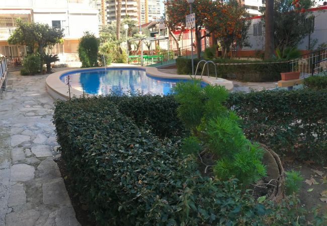 Apartamento en Benidorm - D-854 APARTMENT IN NEW TOWN Apartamento en Benidorm - D-854 APARTMENT IN NEW TOWN