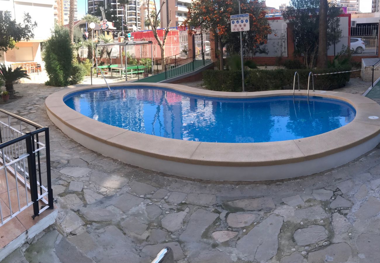 Apartamento en Benidorm - D-854 APARTMENT IN NEW TOWN Apartamento en Benidorm - D-854 APARTMENT IN NEW TOWN