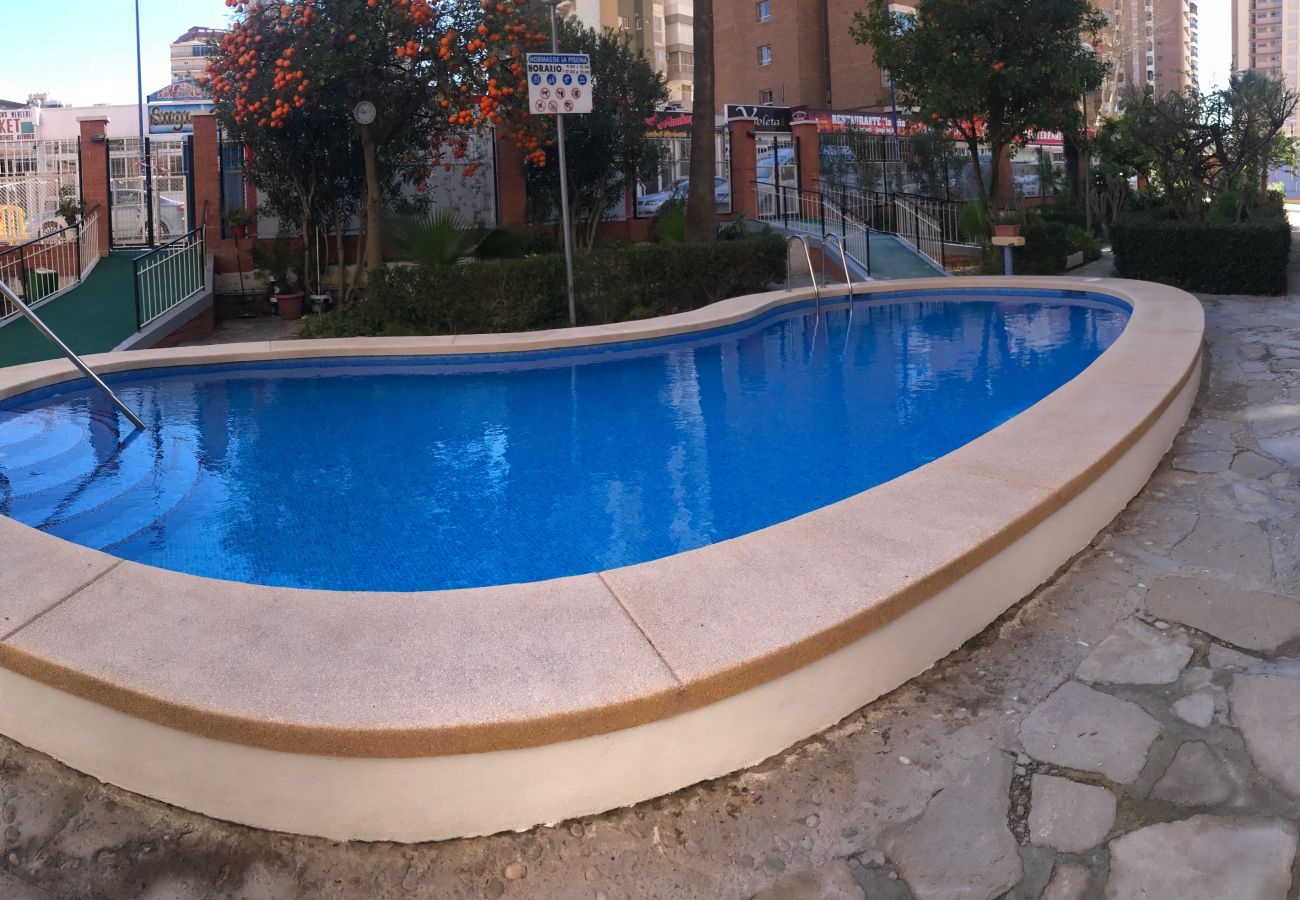 Apartamento en Benidorm - D-854 APARTMENT IN NEW TOWN Apartamento en Benidorm - D-854 APARTMENT IN NEW TOWN