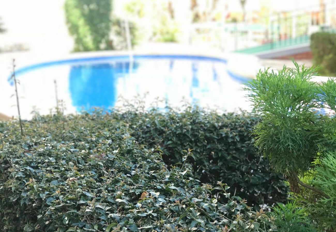 Apartamento en Benidorm - D-854 APARTMENT IN NEW TOWN Apartamento en Benidorm - D-854 APARTMENT IN NEW TOWN