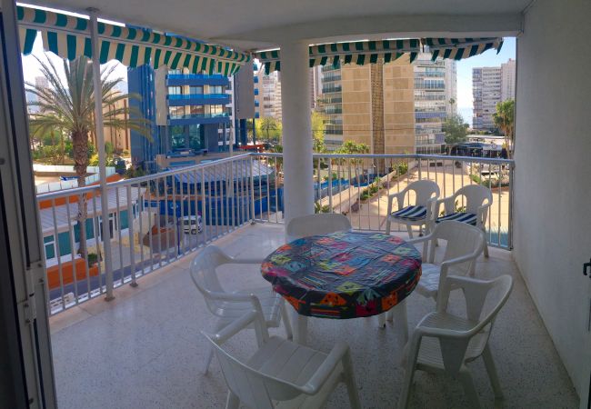 Apartamento en Benidorm - R316 FLECHA APARTMENT