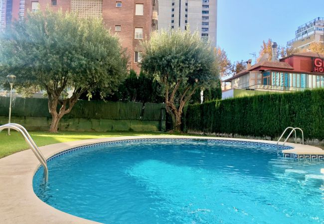 Apartamento en Benidorm - R522 APARTMENT IN LEVANTE BEACH BENIDORM Apartamento en Benidorm - R522 APARTMENT IN LEVANTE BEACH BENIDORM