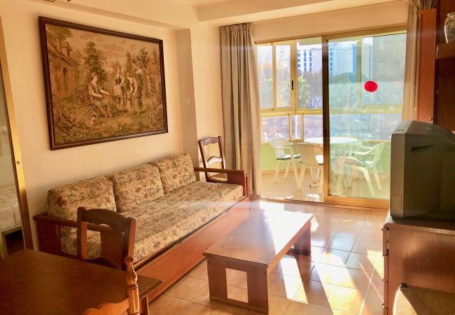 Apartamento en Benidorm - R522 APARTMENT IN LEVANTE BEACH BENIDORM Apartamento en Benidorm - R522 APARTMENT IN LEVANTE BEACH BENIDORM
