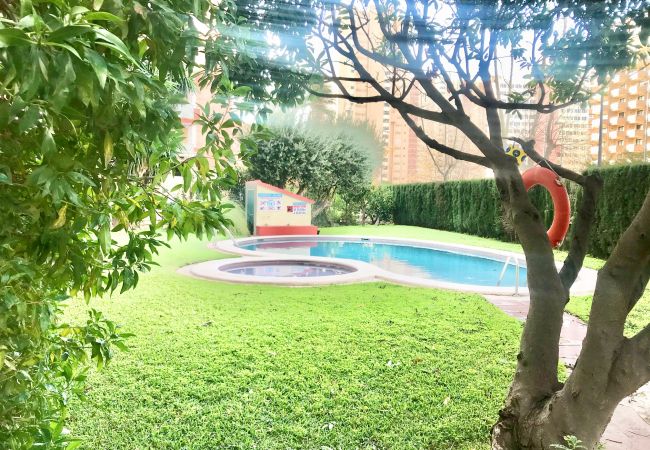 Apartamento en Benidorm - R545 RINCON APARTMENT Apartamento en Benidorm - R545 RINCON APARTMENT