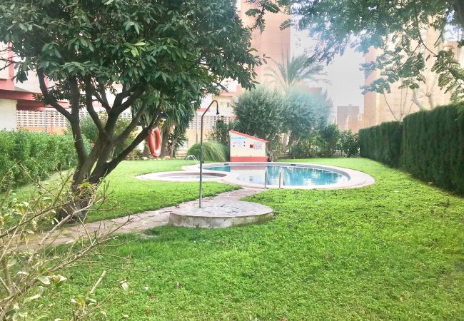 Apartamento en Benidorm - R545 RINCON APARTMENT Apartamento en Benidorm - R545 RINCON APARTMENT