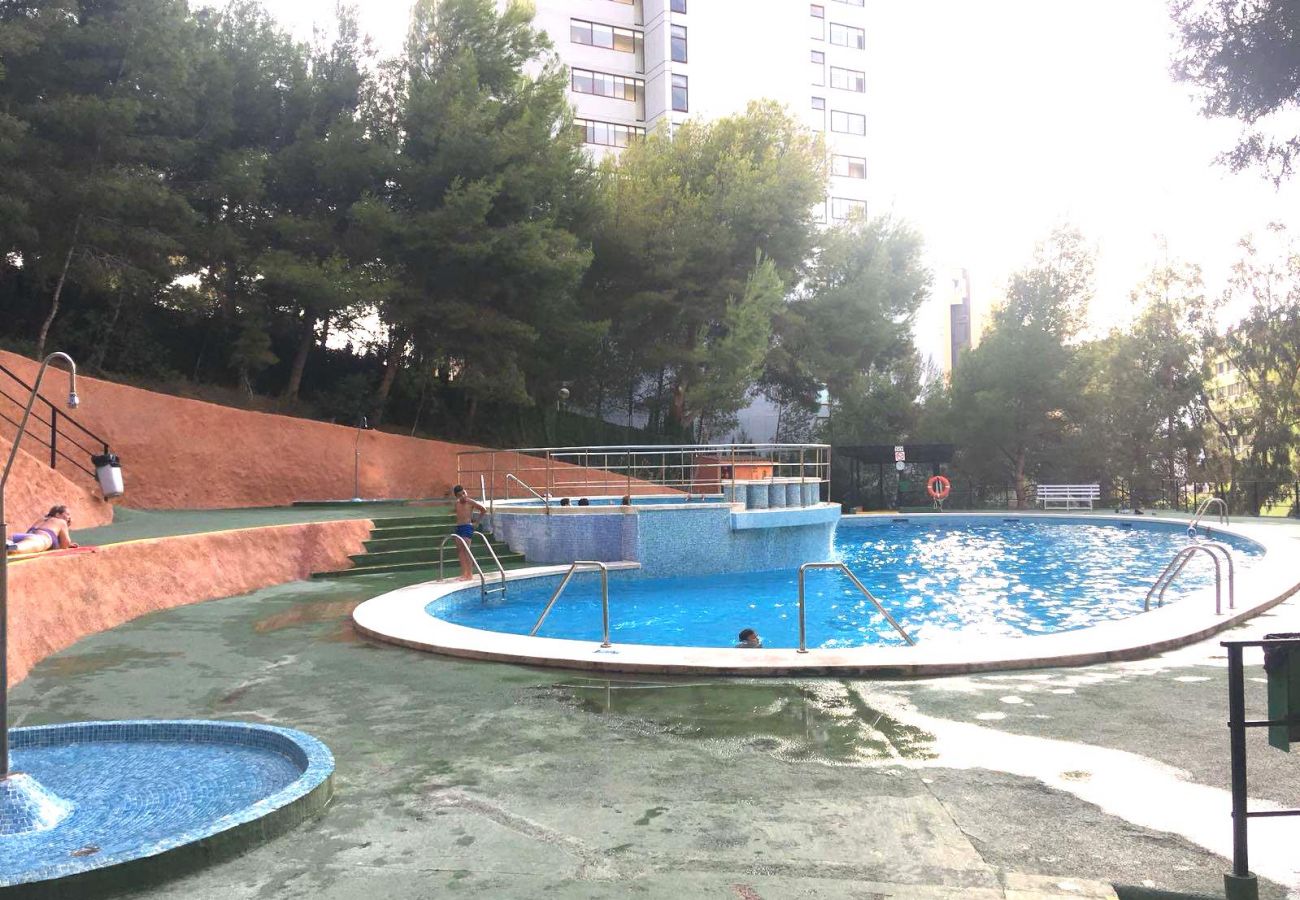 Apartamento en Benidorm - R547 ANTENA CITY APARTMENT Apartamento en Benidorm - R547 ANTENA CITY APARTMENT