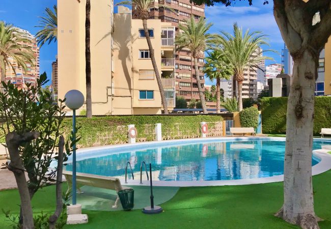 Apartamento en Benidorm - R566 Front al Mar apartment