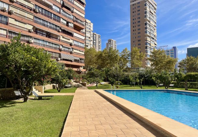 Apartamento en Benidorm - WIFI LUXURY MODERN APARTMENT R056