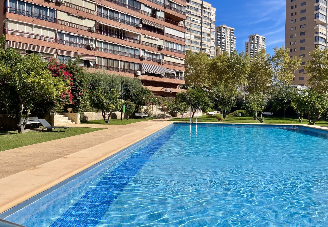 Apartamento en Benidorm - WIFI LUXURY MODERN APARTMENT R056