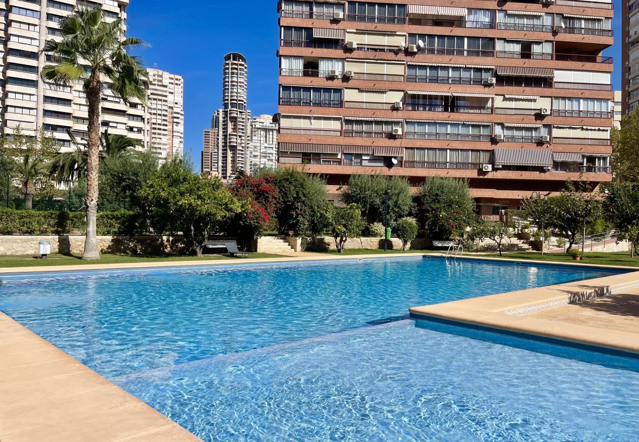 Apartamento en Benidorm - WIFI LUXURY MODERN APARTMENT R056