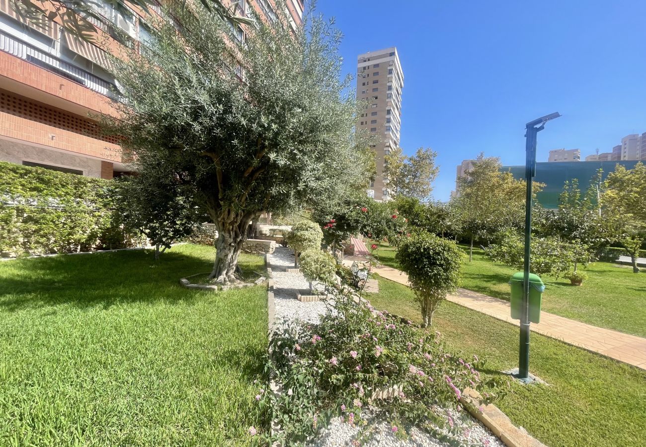 Apartamento en Benidorm - WIFI LUXURY MODERN APARTMENT R056