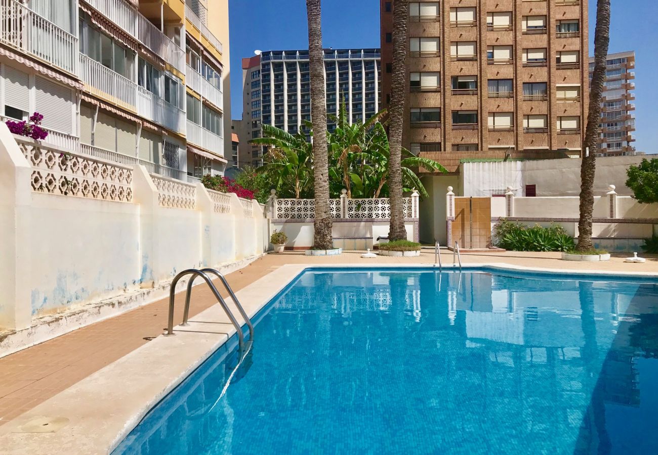 Apartamento en Benidorm - NEW TOWN AVENIDA MALLORCA R054