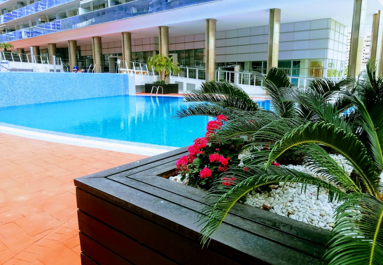 Apartamento en Villajoyosa - WIFI ELEGANCE LUXURY BENIDORM R053