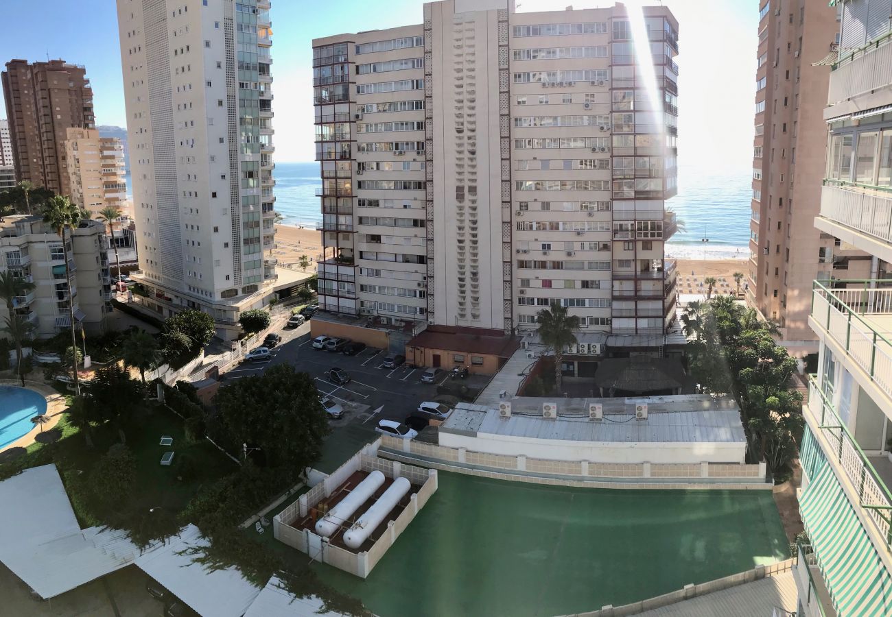 Apartamento en Benidorm - BEATRIZ APARTMENT LEVANTE BEACH R041