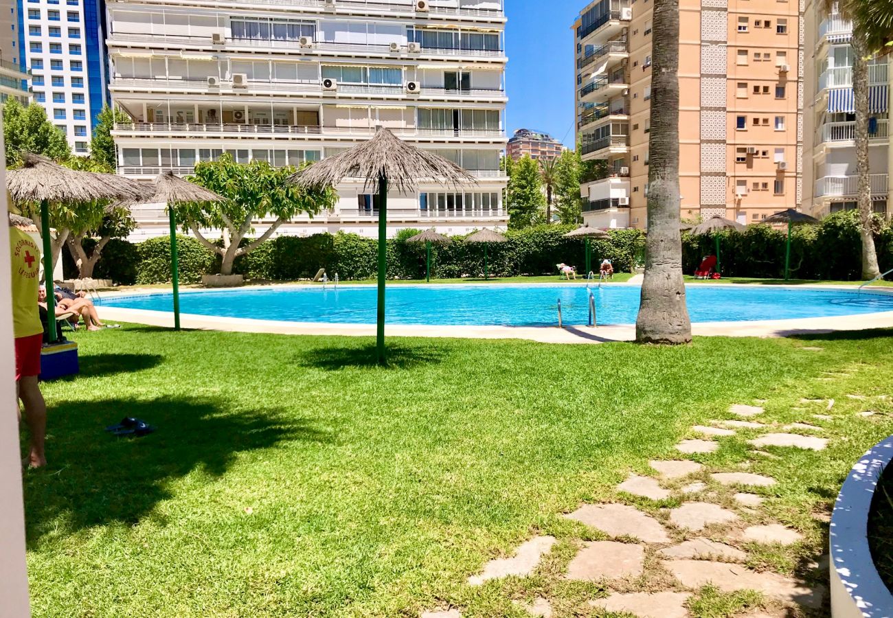 Apartamento en Benidorm - COBLANCA LEVANTE BLUELINE R038