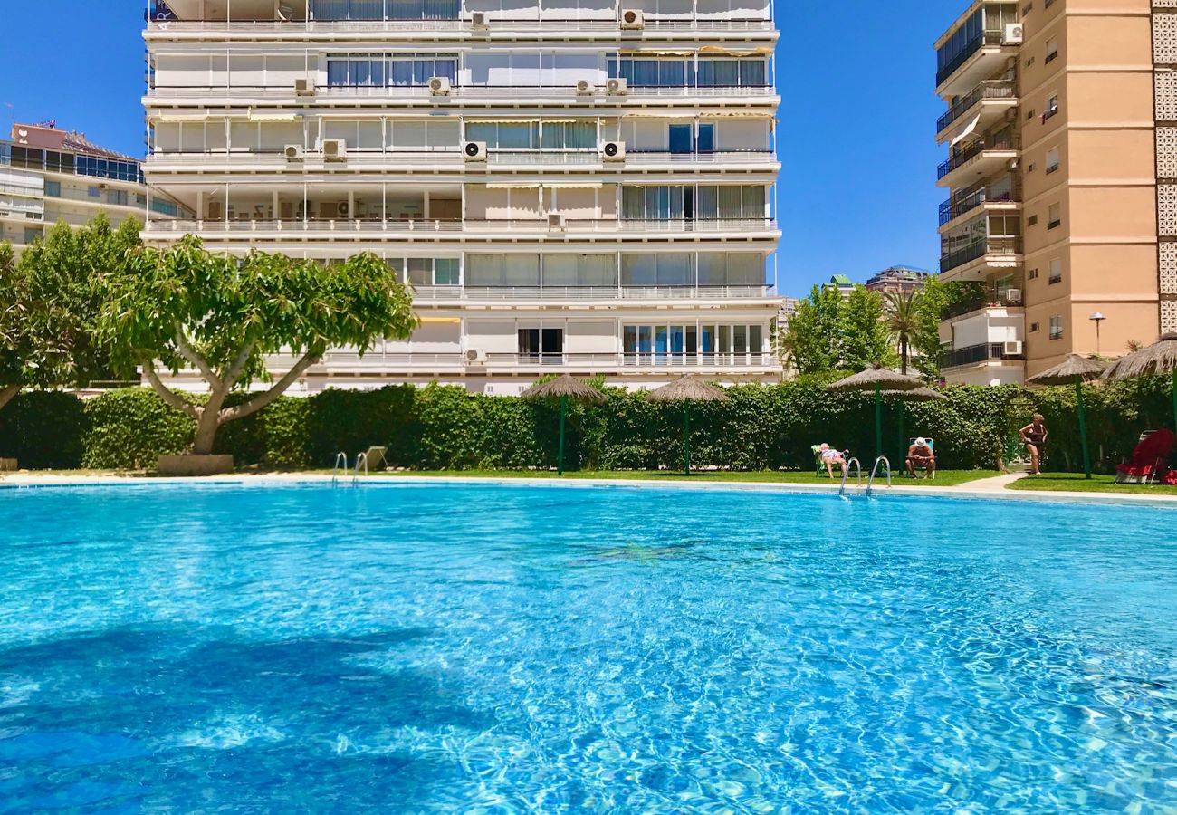 Apartamento en Benidorm - COBLANCA LEVANTE BLUELINE R038