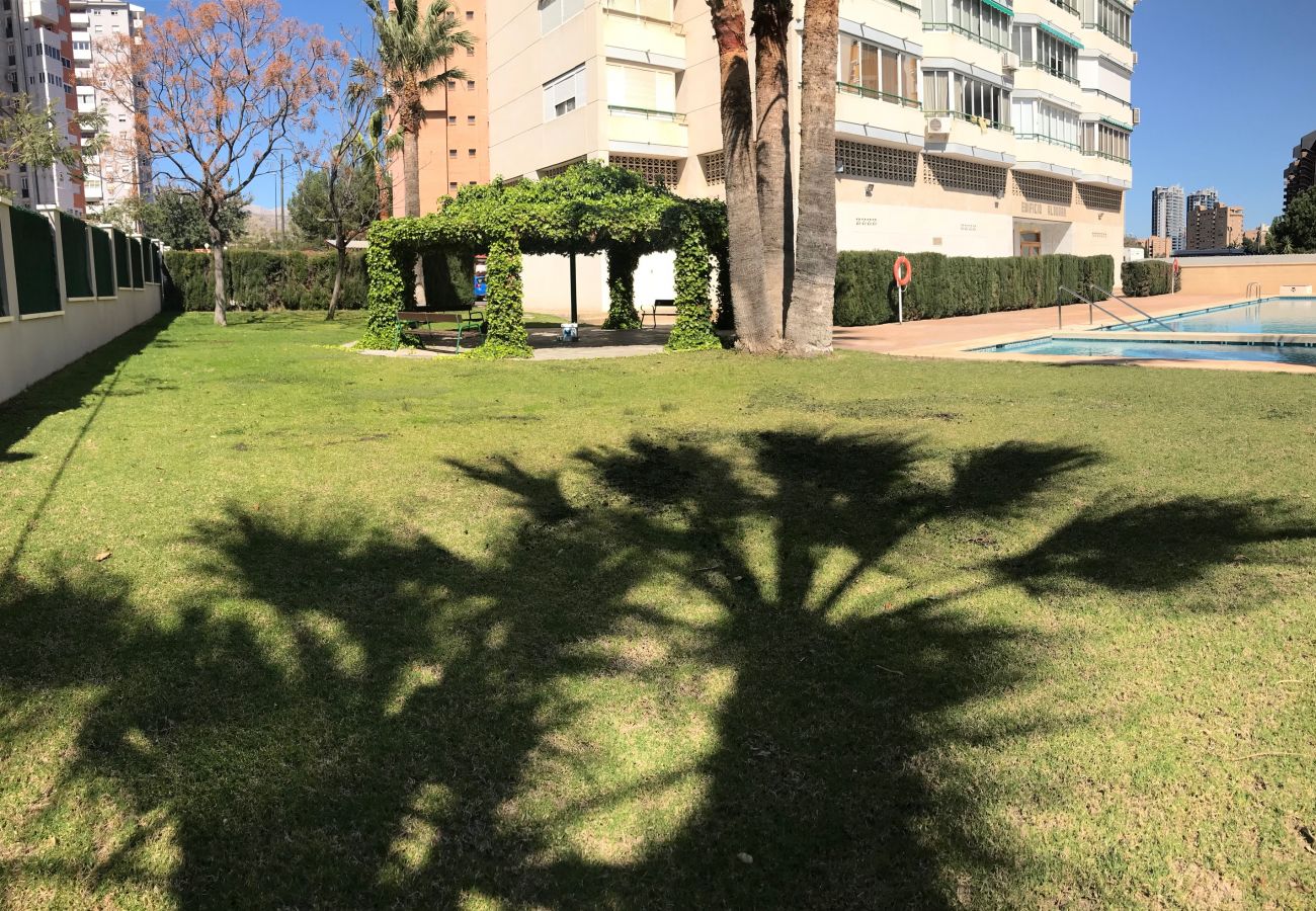 Apartamento en Benidorm - APARTMENT IN PONIENTE BEACH R033