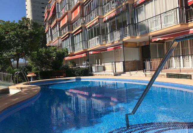 Apartamento en Benidorm - APARTMENT IN NEW TOWN R005