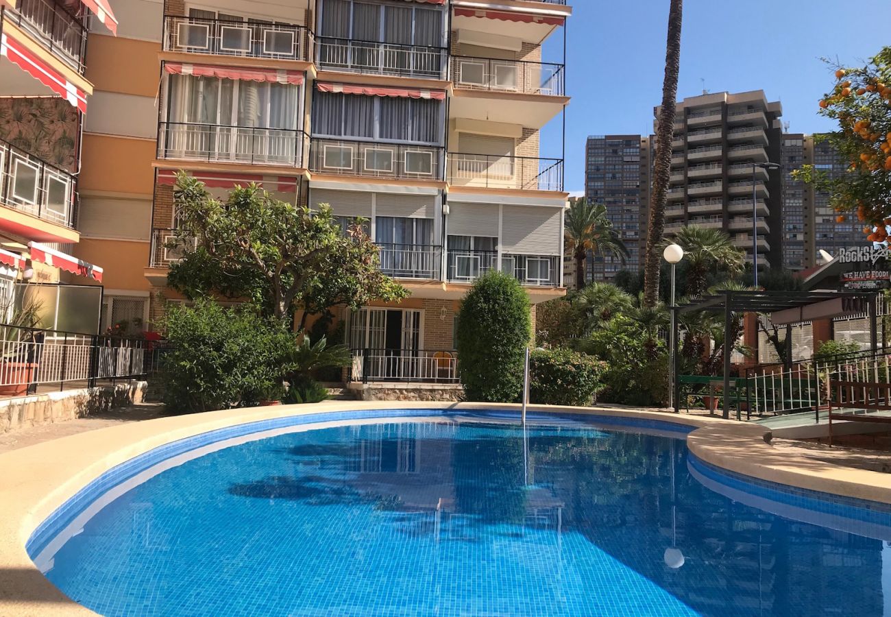 Apartamento en Benidorm - APARTMENT IN NEW TOWN R005