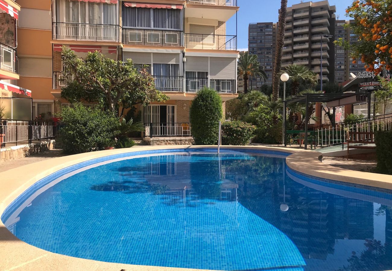 Apartamento en Benidorm - APARTMENT IN NEW TOWN R005