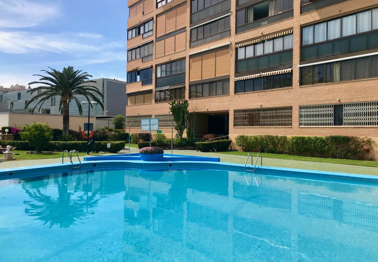 Apartamento en Benidorm - ALBAIDA BLUELINE R015