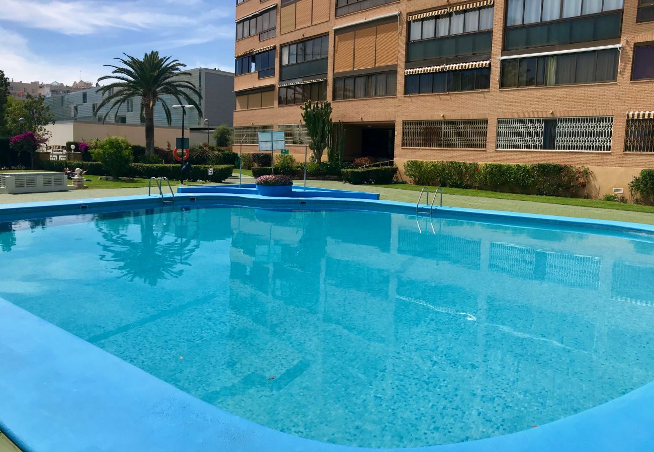 Apartamento en Benidorm - ALBAIDA BLUELINE R015