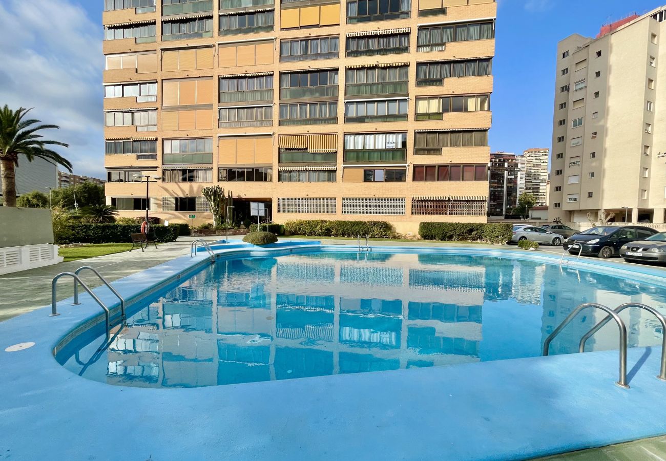 Apartamento en Benidorm - ALBAIDA BLUELINE R015