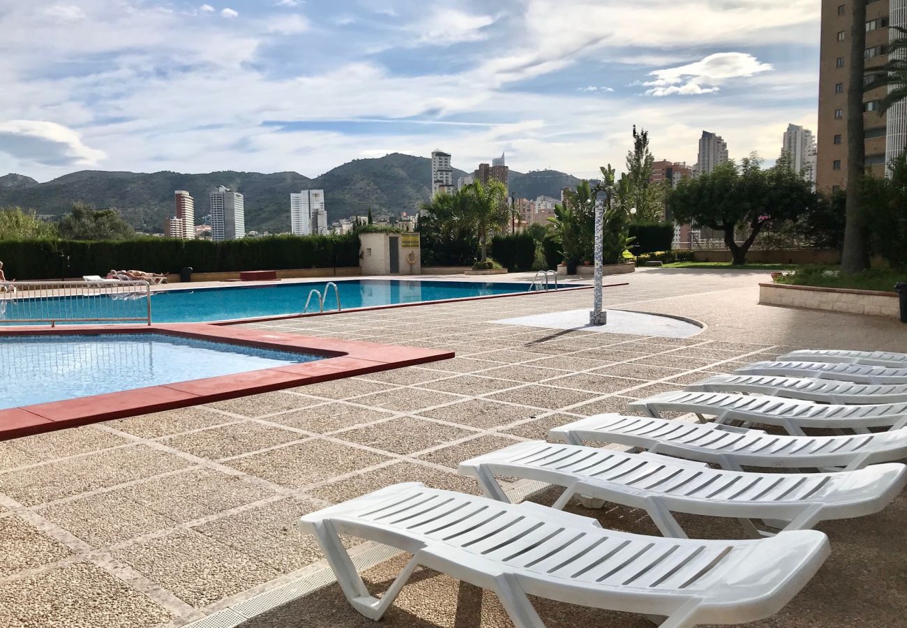 Apartamento en Benidorm - PARAISO 10 BLUELINE R013