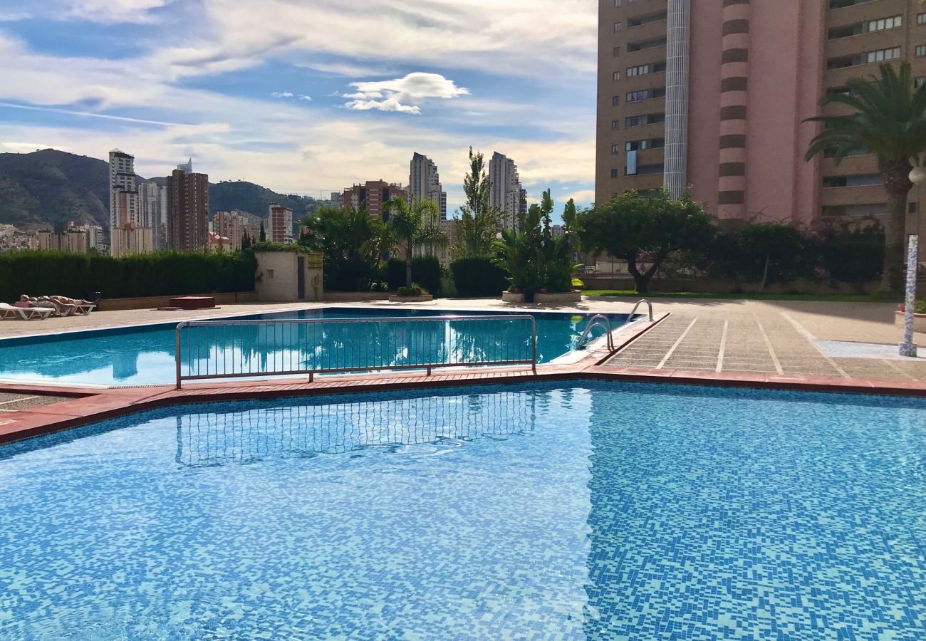 Apartamento en Benidorm - PARAISO 10 BLUELINE R013