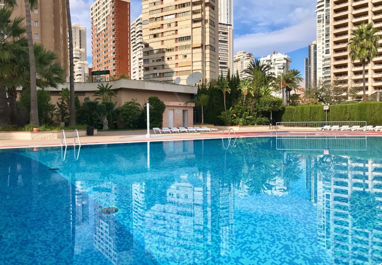 Apartamento en Benidorm - PARAISO 10 BLUELINE R013