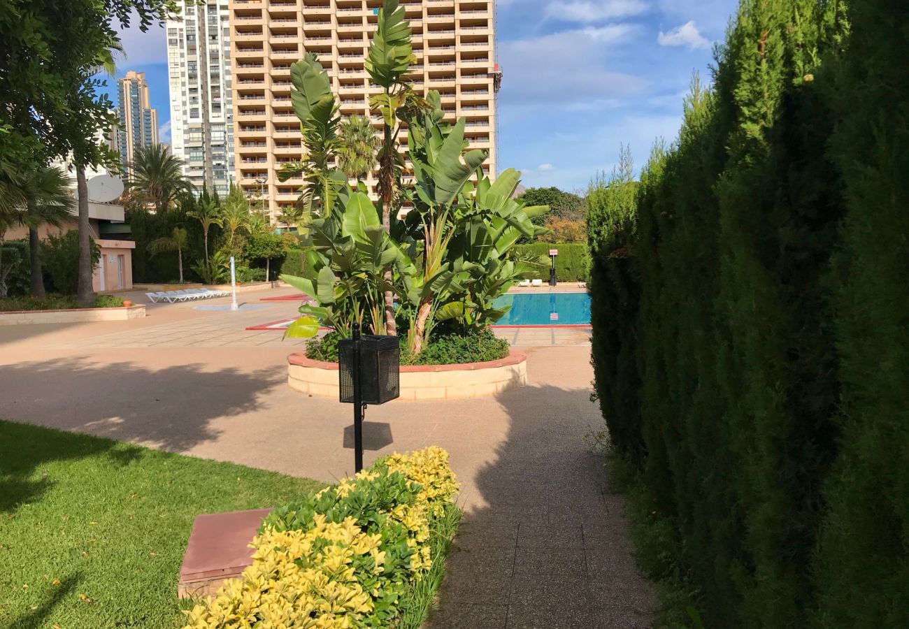 Apartamento en Benidorm - PARAISO 10 BLUELINE R013