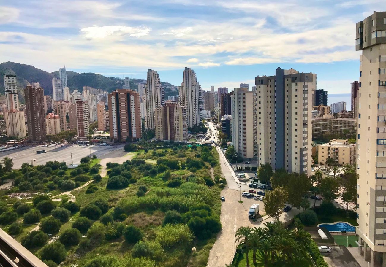 Apartamento en Benidorm - PARAISO 10 BLUELINE R013