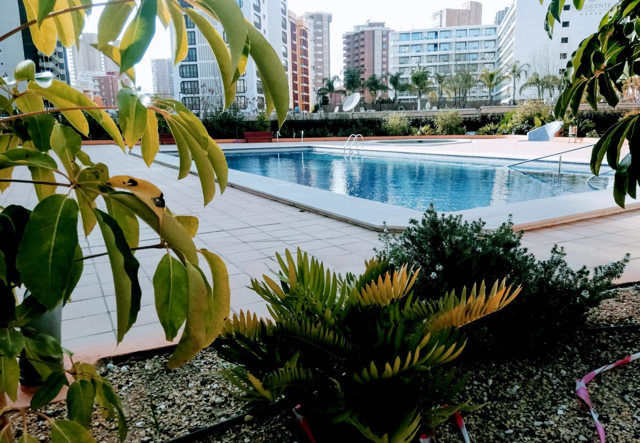 piscina torremar 