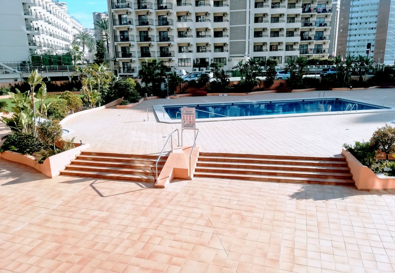 Apartamento en Benidorm - TORREMAR APARTMENT R031