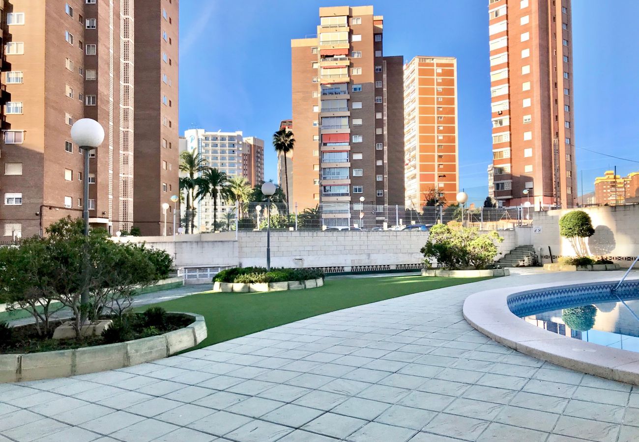 Apartamento en Benidorm - BENIDORM CENTER KENNEDY APARTMENT R043