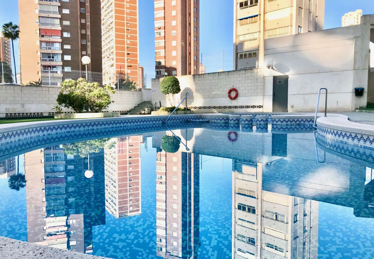 Apartamento en Benidorm - BENIDORM CENTER KENNEDY APARTMENT R043