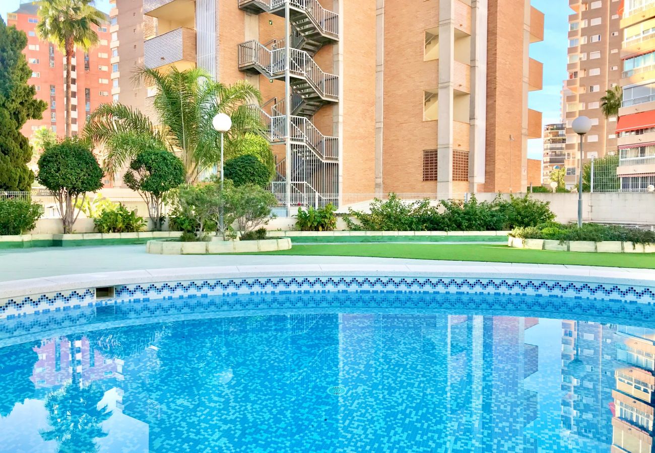 Apartamento en Benidorm - BENIDORM CENTER KENNEDY APARTMENT R043