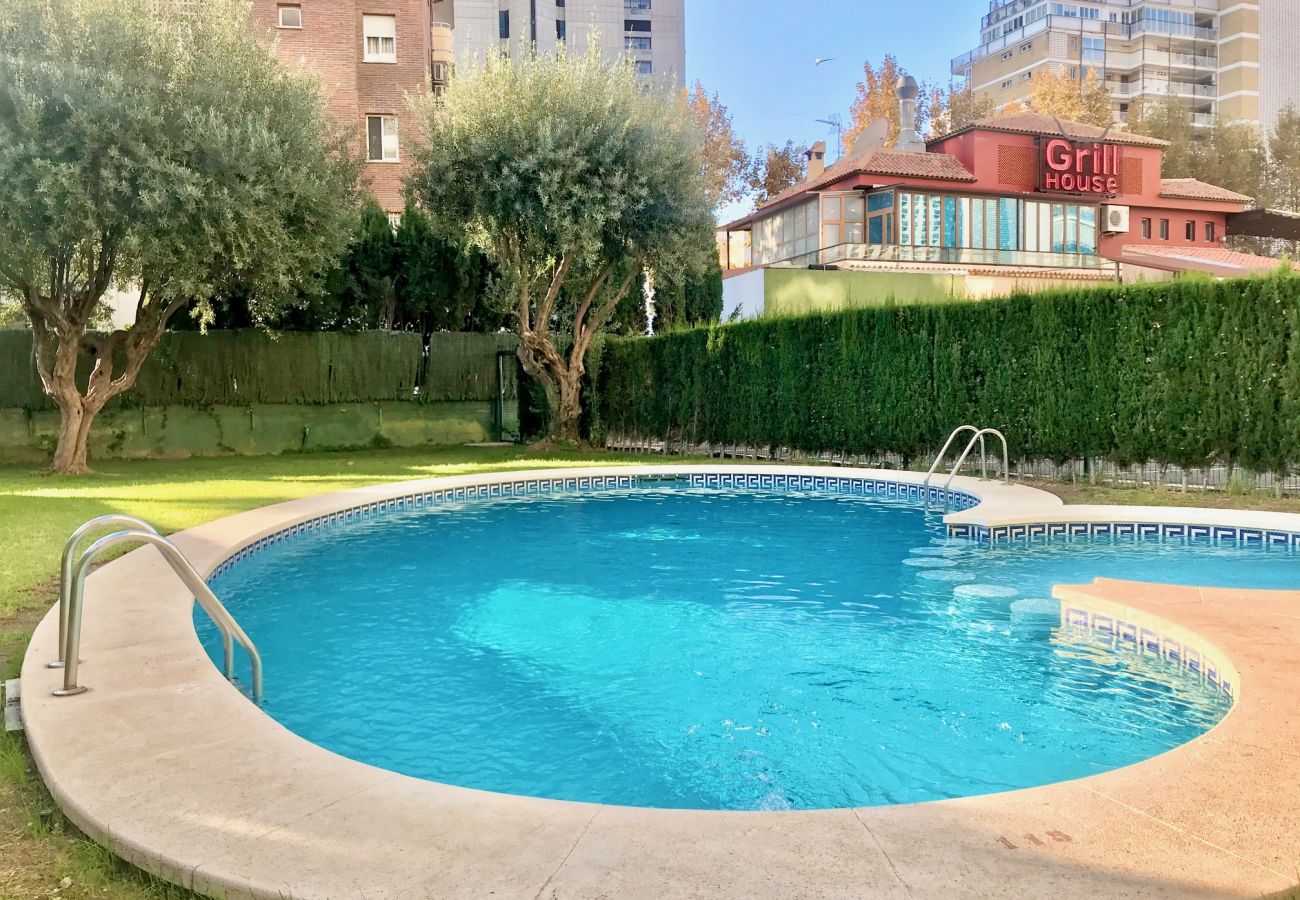 Apartamento en Benidorm - APARTMENT IN LEVANTE BEACH BENIDORM R060