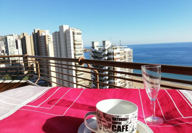 Apartamento en Benidorm - TORRE VALENCIA BLUELINE R044