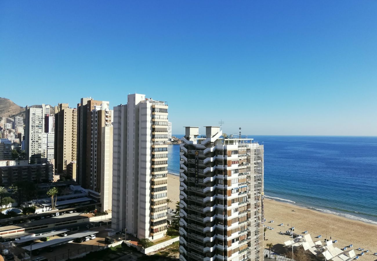 Apartamento en Benidorm - TORRE VALENCIA BLUELINE R044