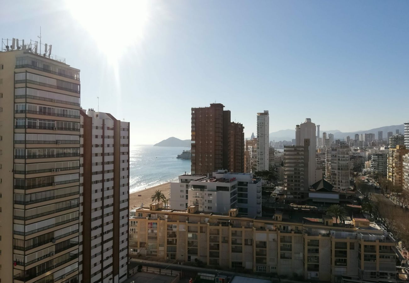 Apartamento en Benidorm - TORRE VALENCIA BLUELINE R044