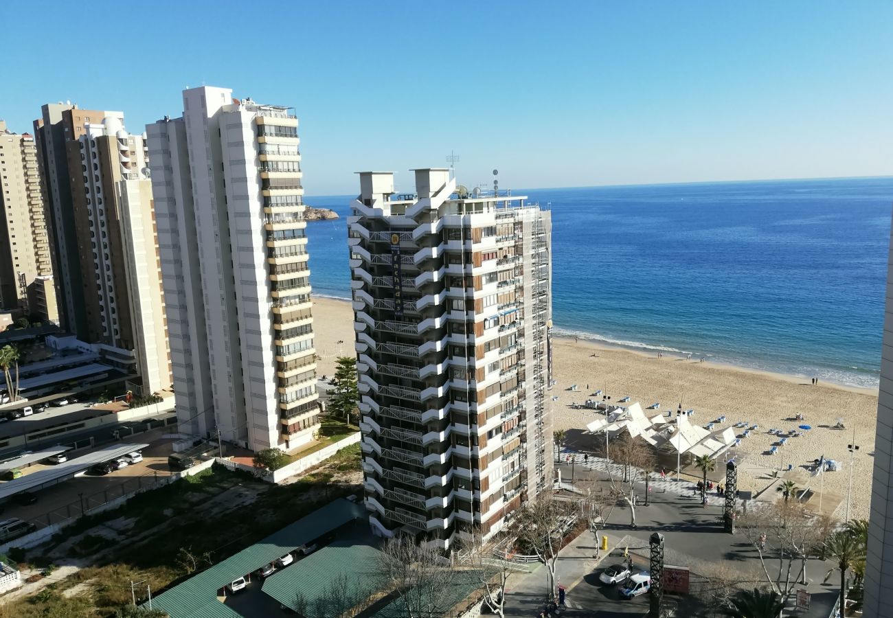 Apartamento en Benidorm - TORRE VALENCIA BLUELINE R044