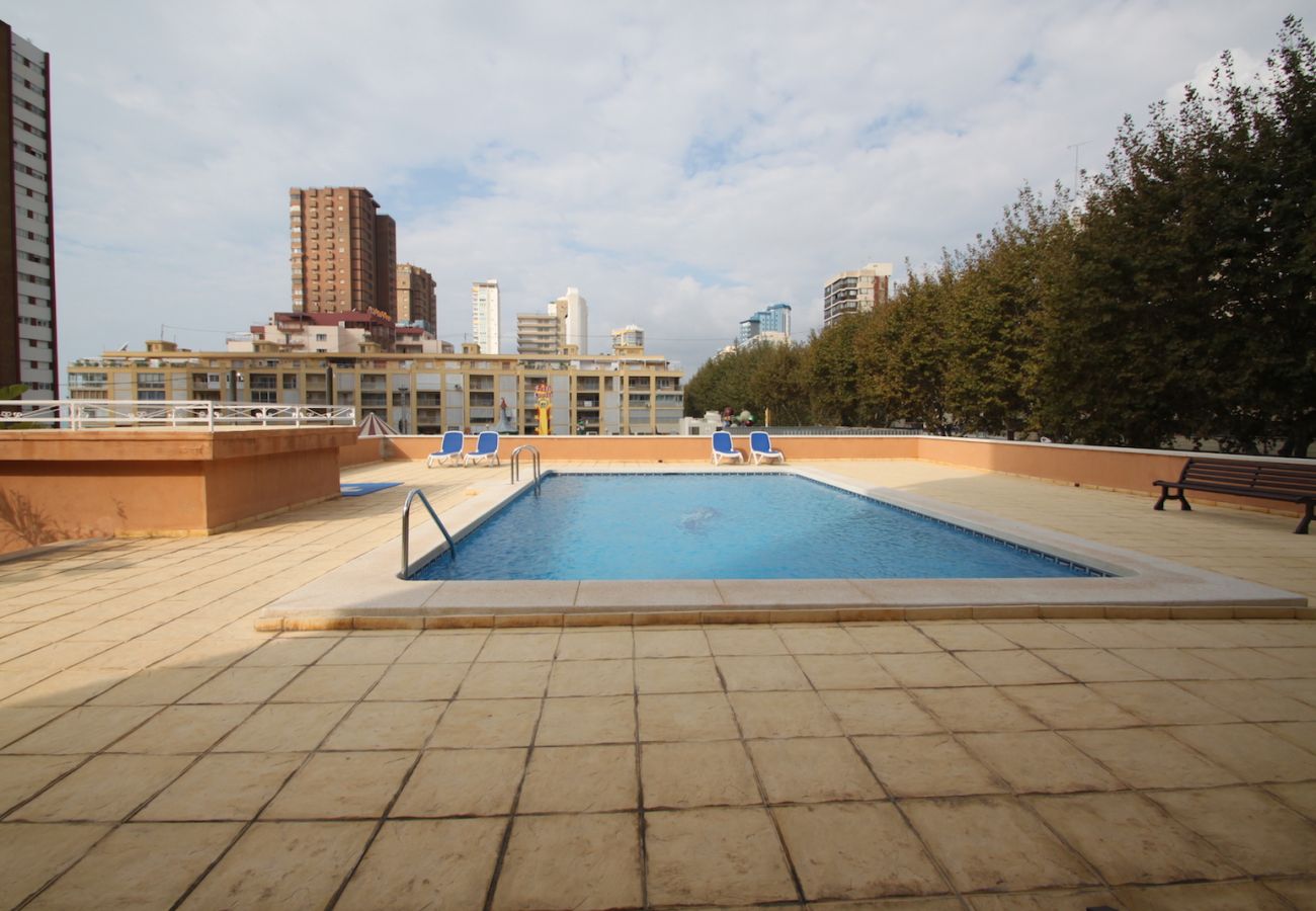 Apartamento en Benidorm - TORRE VALENCIA BLUELINE R044