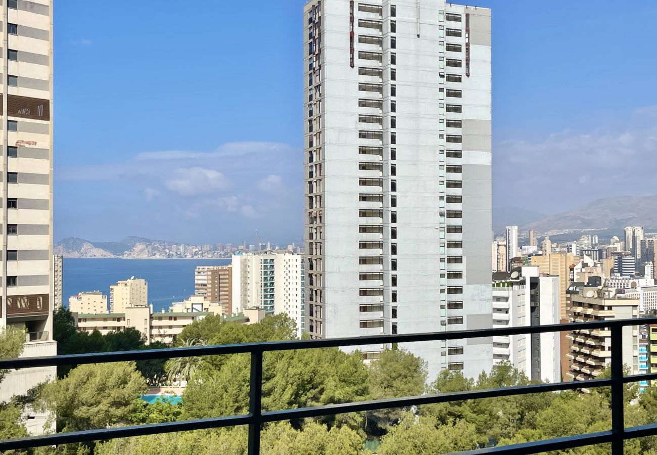 Apartamento en Benidorm - ANTENA CITY APARTMENT R065