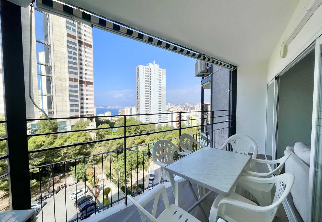 Apartamento en Benidorm - ANTENA CITY APARTMENT R065