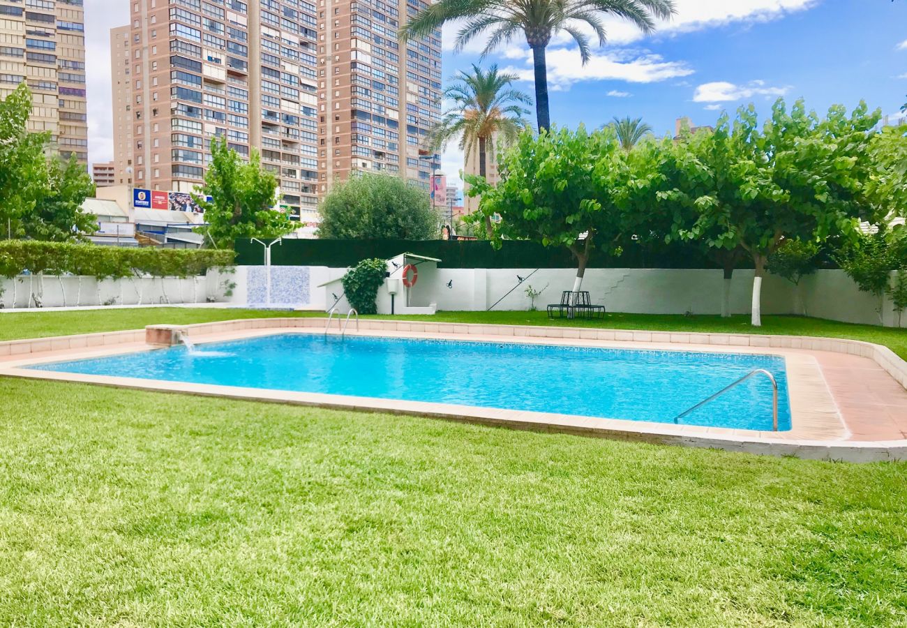 Apartamento en Benidorm - EUROPA APARTMENT R068