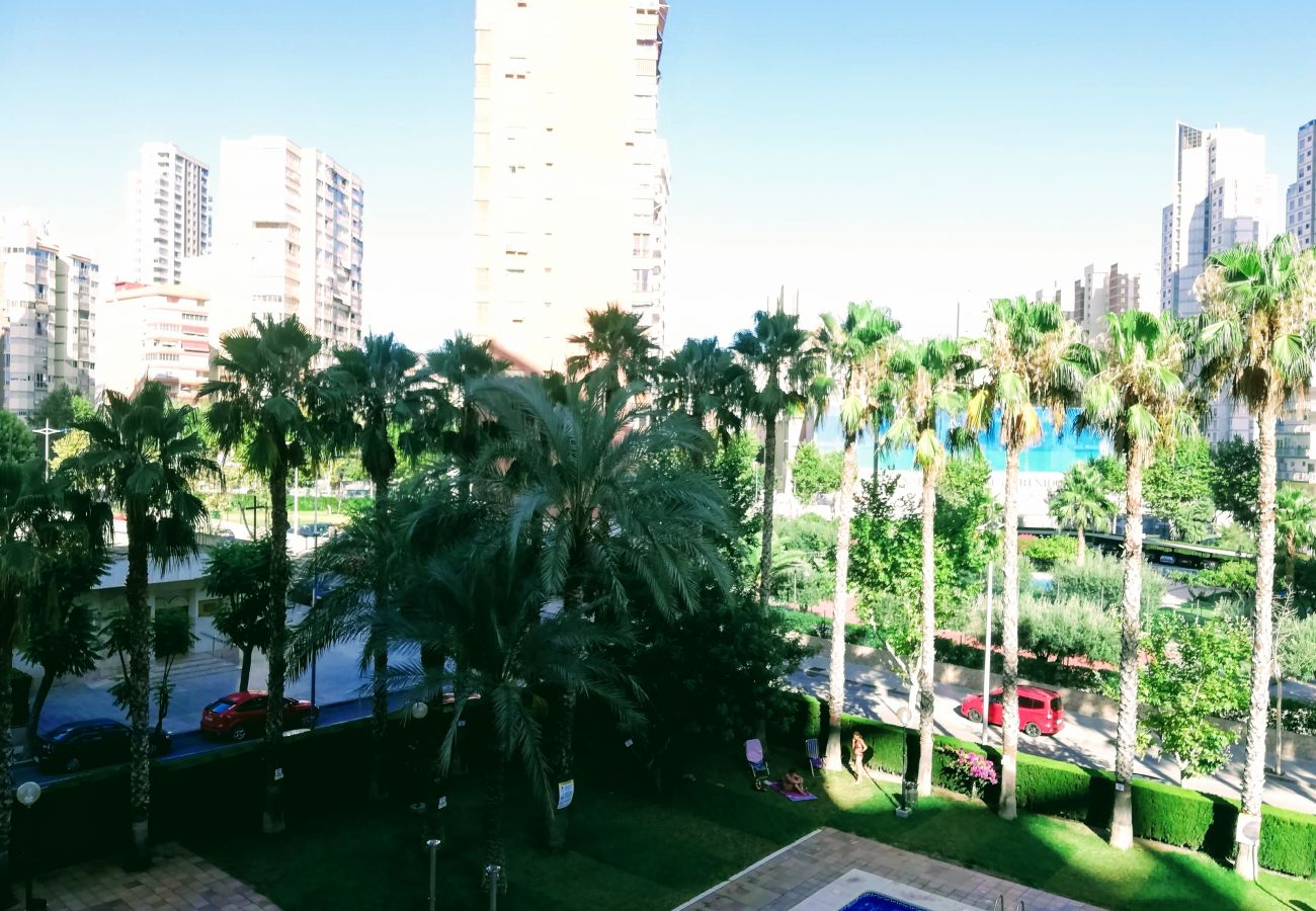 Apartamento en Benidorm - PARAISO BENIDORM APARTAMENT R070