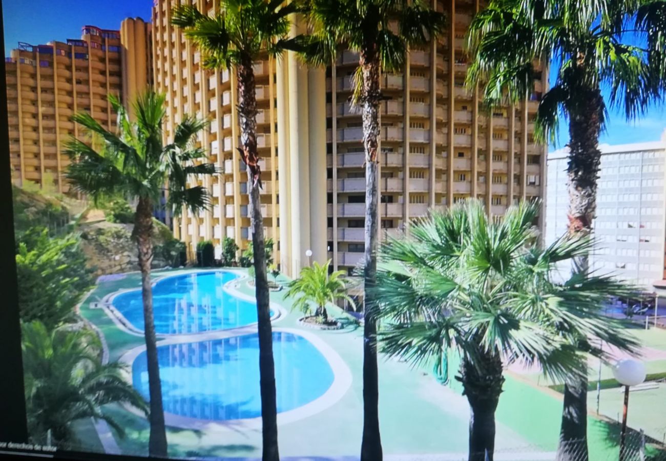 Apartamento en Benidorm - CUMBRE LOIX APARTMENT R072