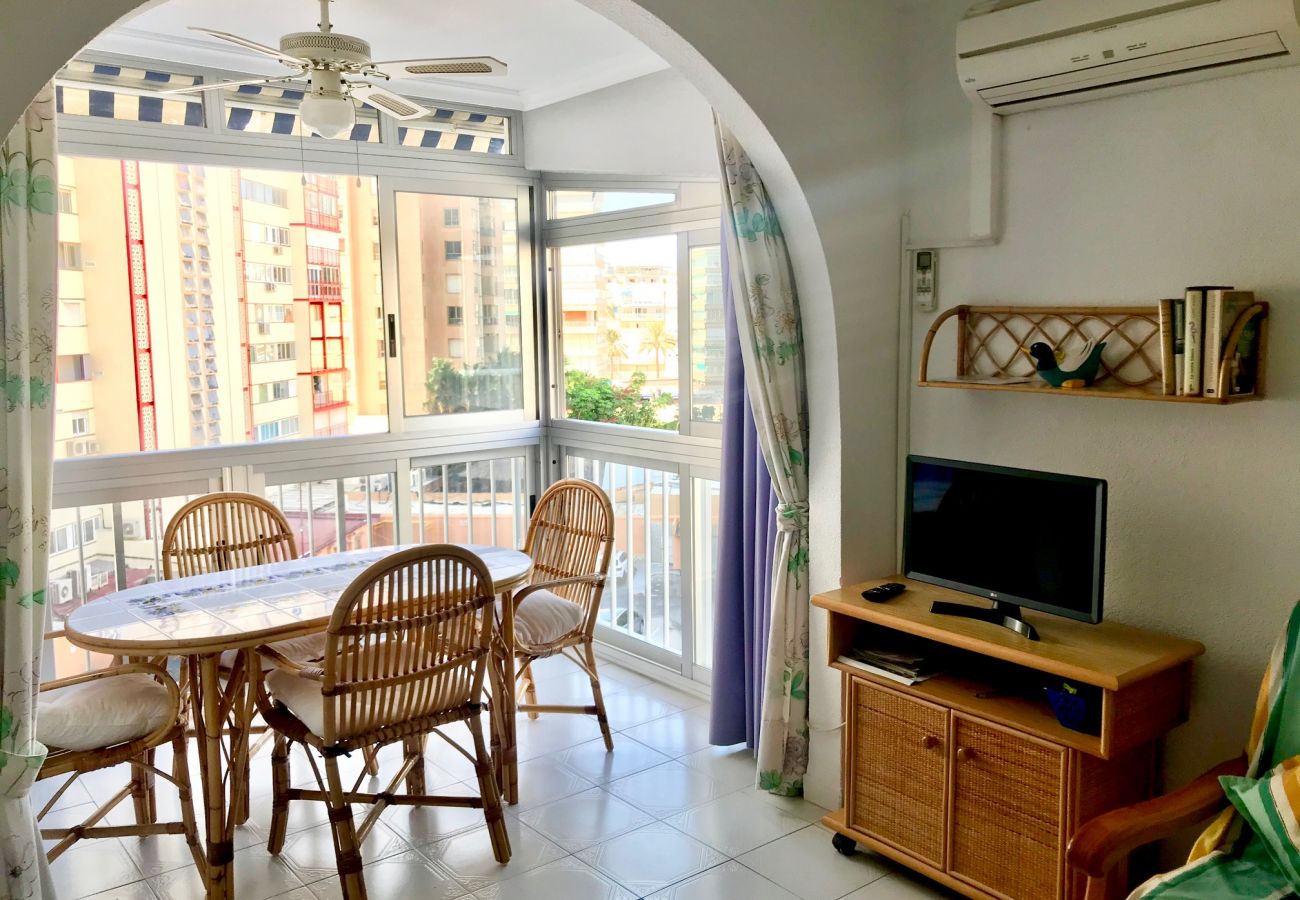 Apartamento en Benidorm - REX AND SUN APARTMENT R073