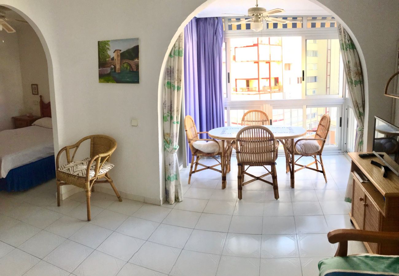 Apartamento en Benidorm - REX AND SUN APARTMENT R073